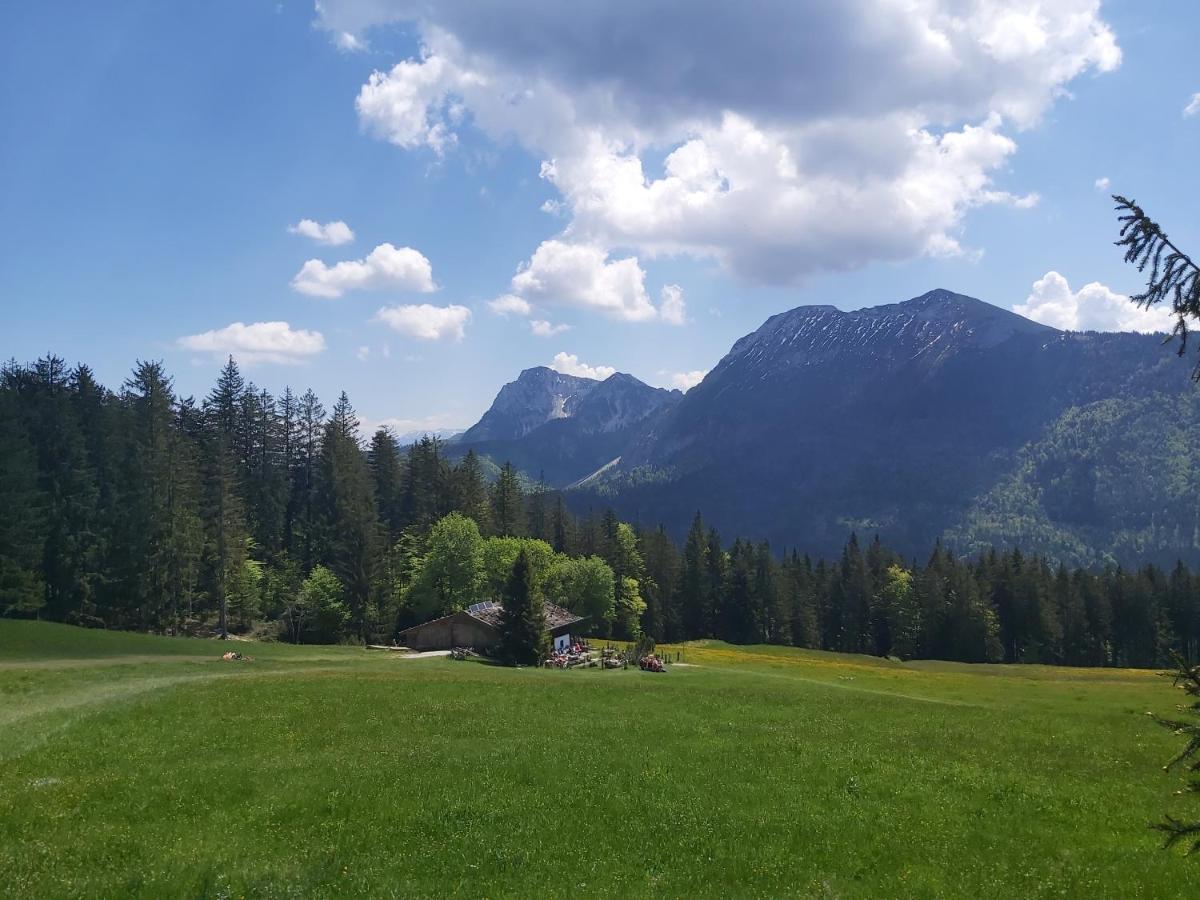 Apartment Andrea - Chiemgau Karte Инцелль Экстерьер фото