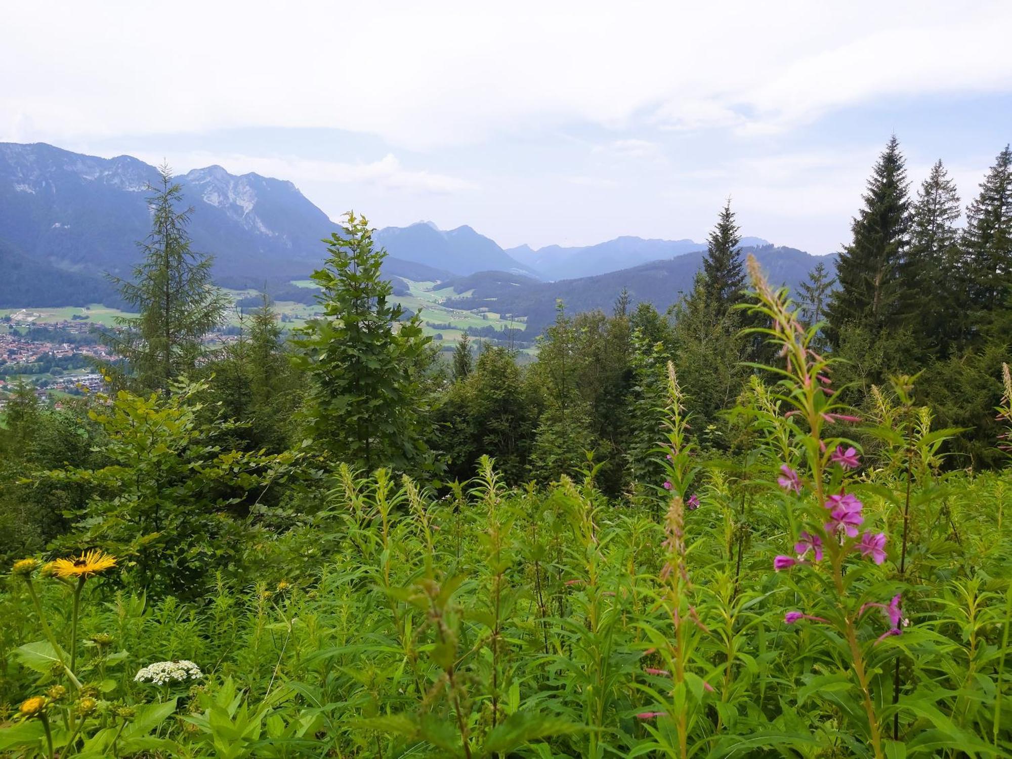 Apartment Andrea - Chiemgau Karte Инцелль Экстерьер фото