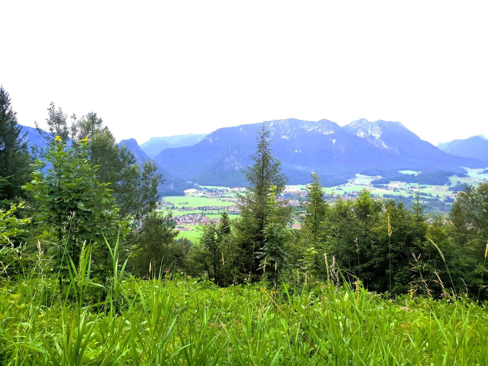 Apartment Andrea - Chiemgau Karte Инцелль Экстерьер фото
