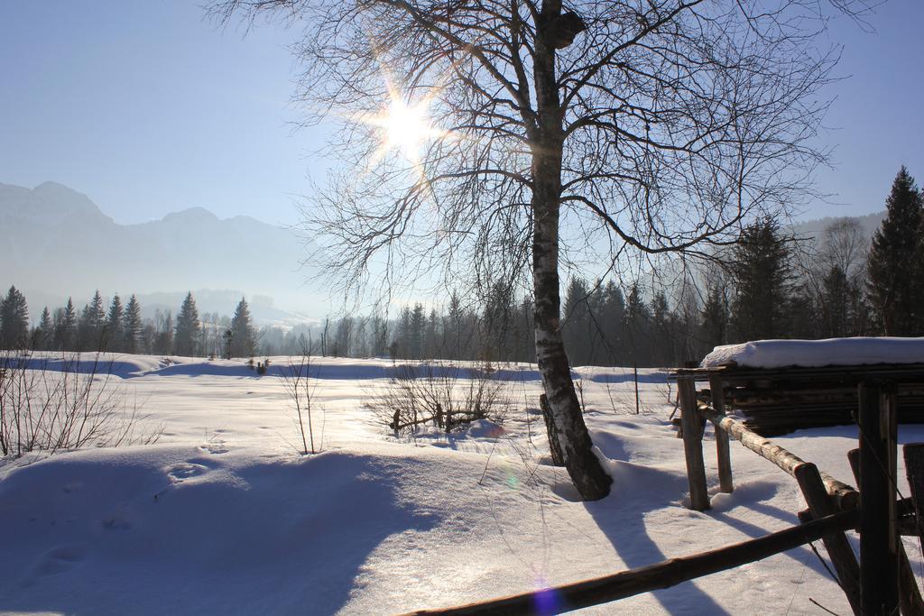 Apartment Andrea - Chiemgau Karte Инцелль Экстерьер фото