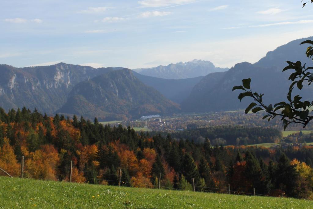 Apartment Andrea - Chiemgau Karte Инцелль Экстерьер фото